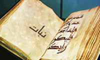 The word ''plants'' in Quran